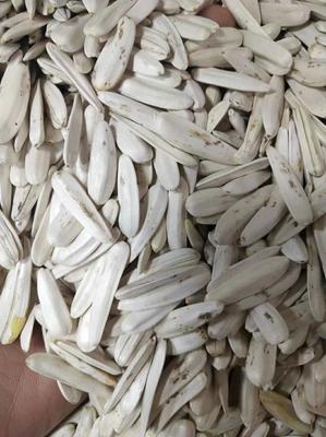 牙簽瓜子，品味生活的雋永滋味