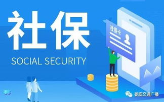 婁星區(qū)稅務(wù)局為您解讀減稅降費相關(guān)稅收政策及辦稅服務(wù)舉措